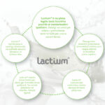 lactium 1024x889 1
