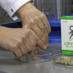 produkts goimmunestrong laboratorija 1536x904 1