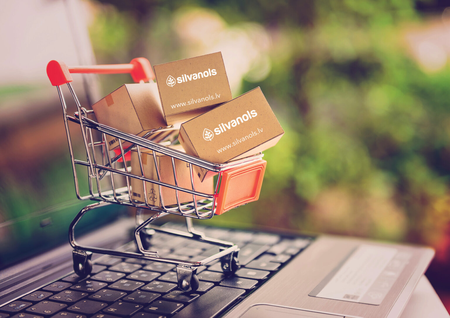 silvanols eshop 1536x1086 1