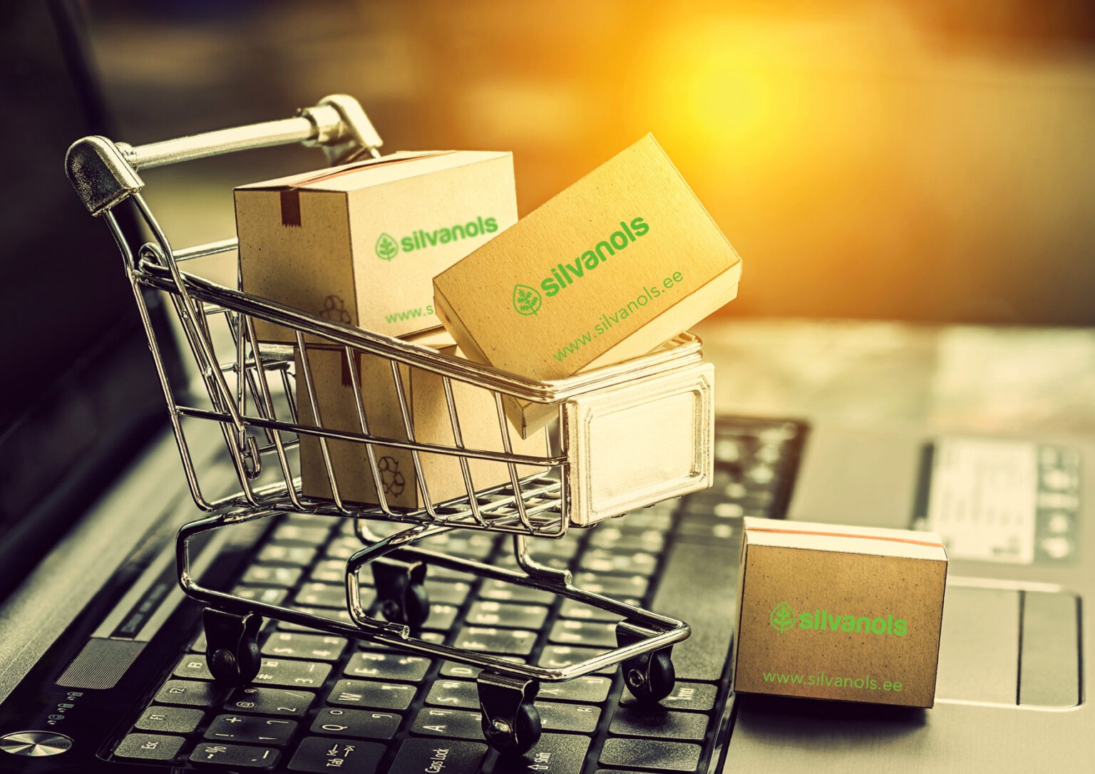 silvanols eshop ee 1536x1086 1